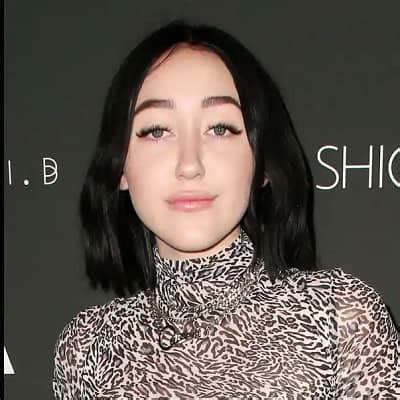 noah cyrus facebook|Noah Cyrus Profiles .